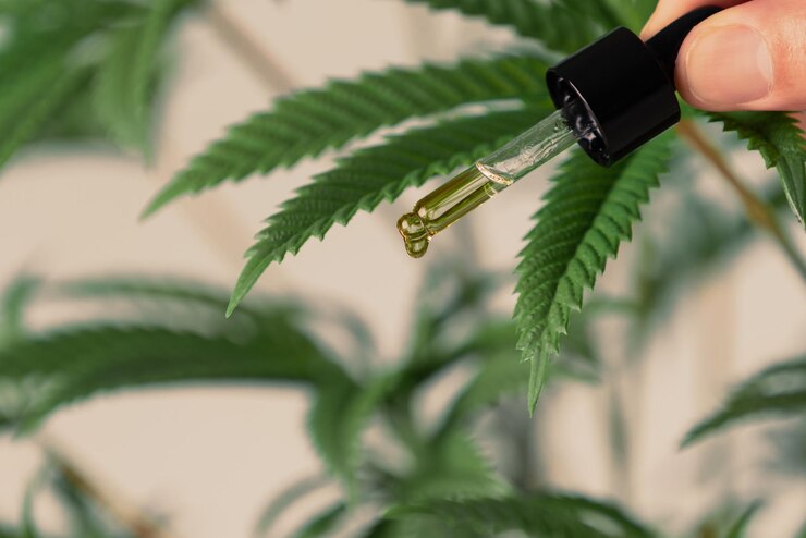 How to Tell CBD Flower From Weed